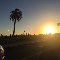 Moonlightin’ Montevideo