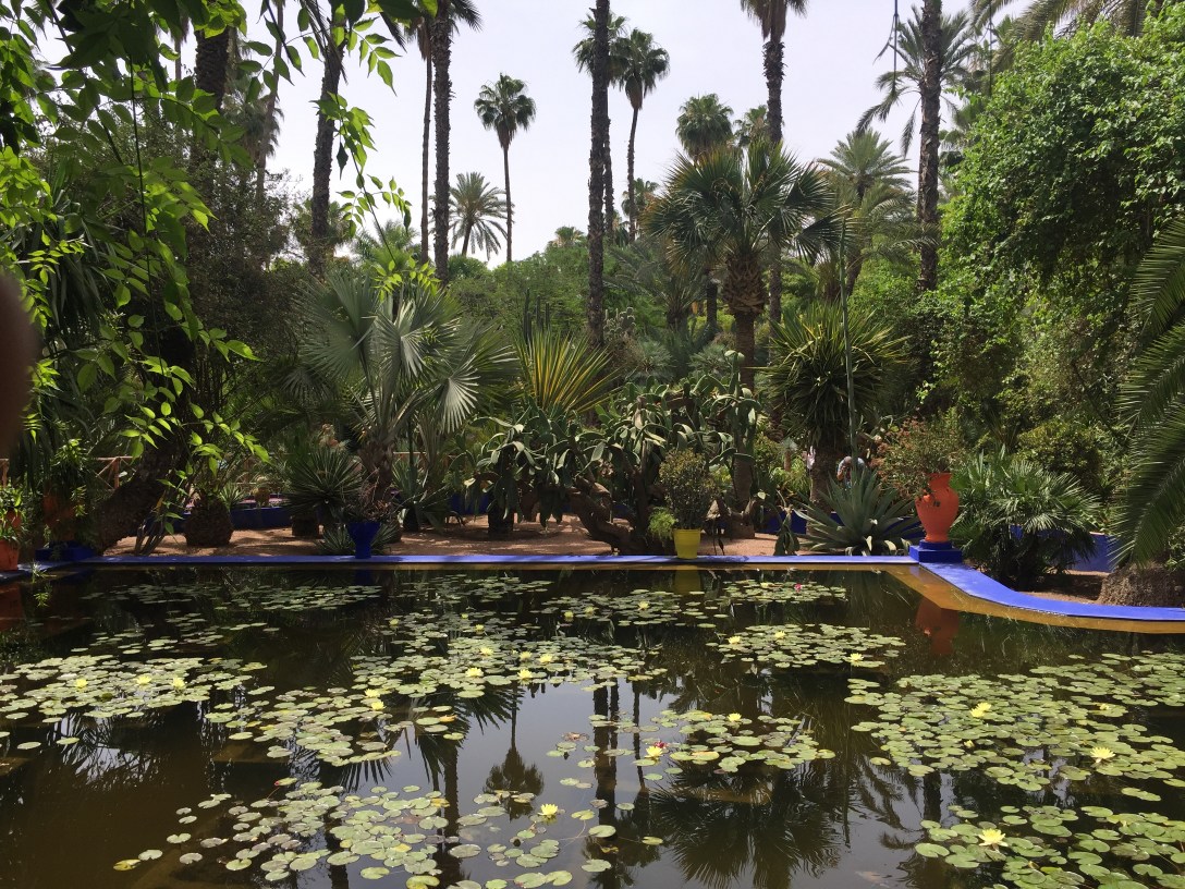 Jardin Morocco